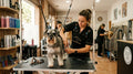 PELUQUERÍA PARA PERROS